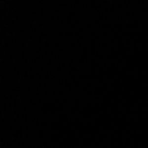 Meet your Posher, Trevon